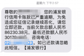 启东为什么选择专业追讨公司来处理您的债务纠纷？